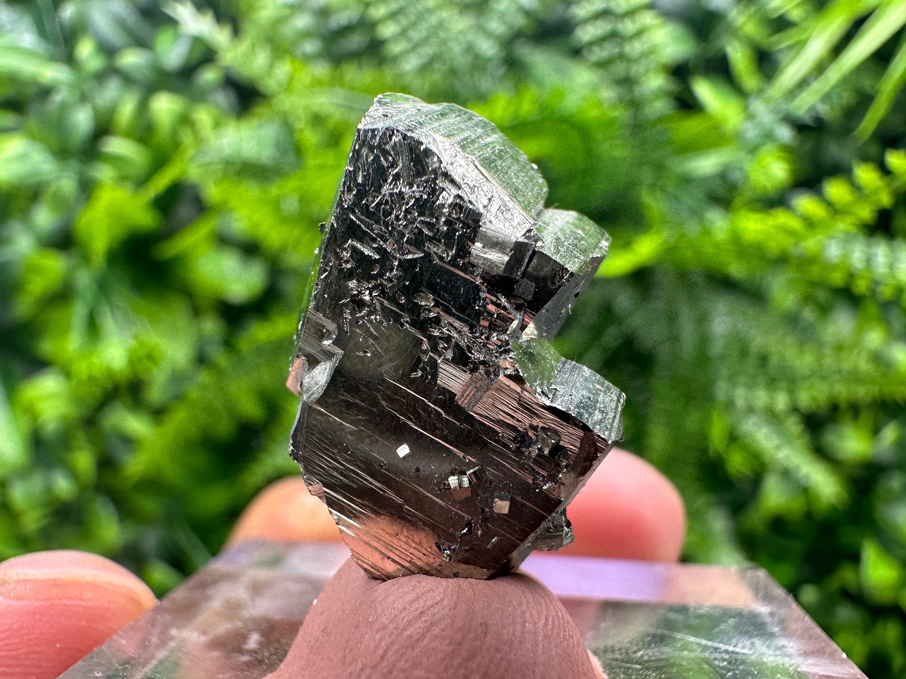Rare Floating Pyrite Cluster, Borieva Mine, Home Decor Stone