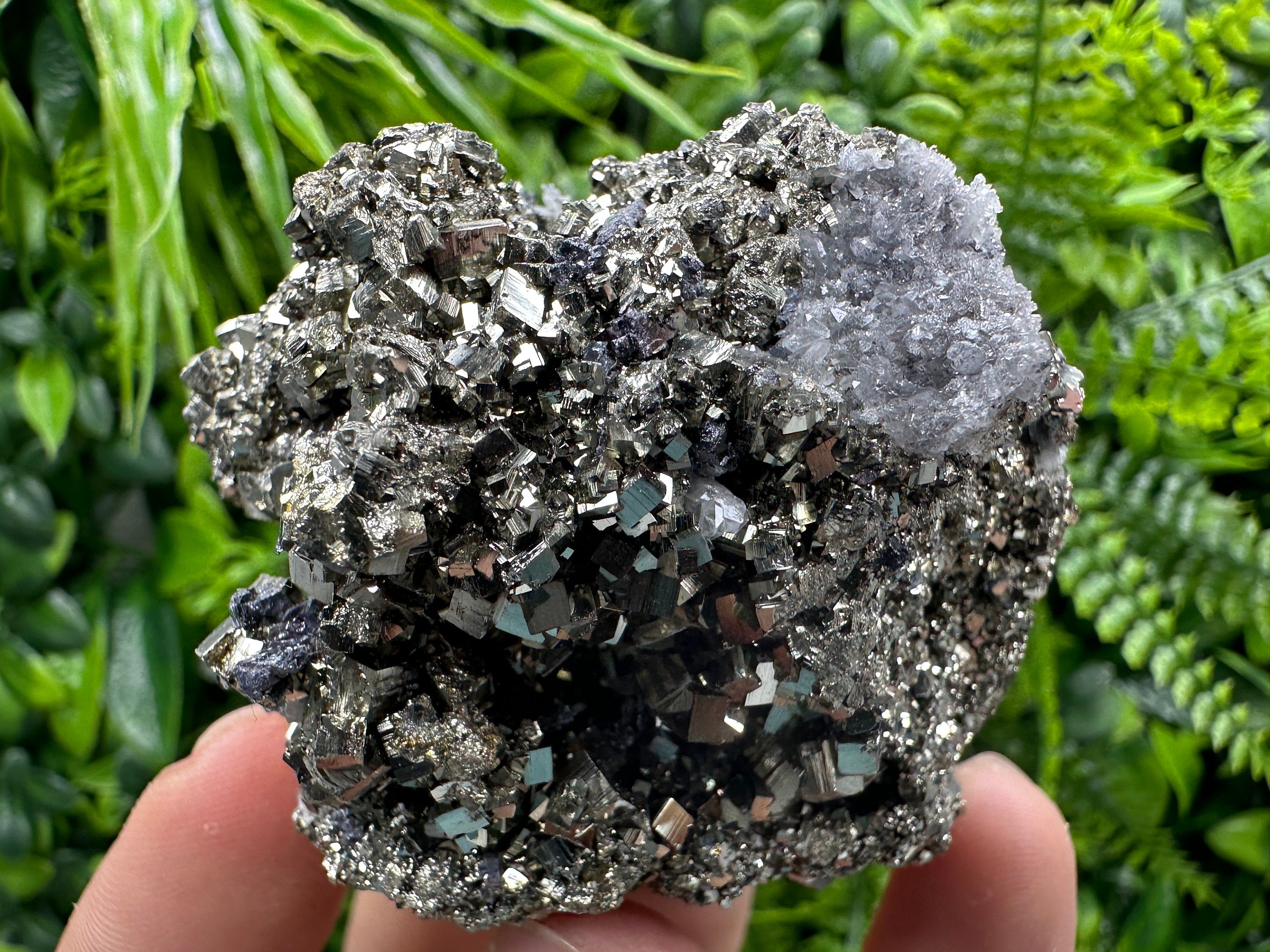 Golden Pyrite Crystal: Borieva Mine, Bulgaria