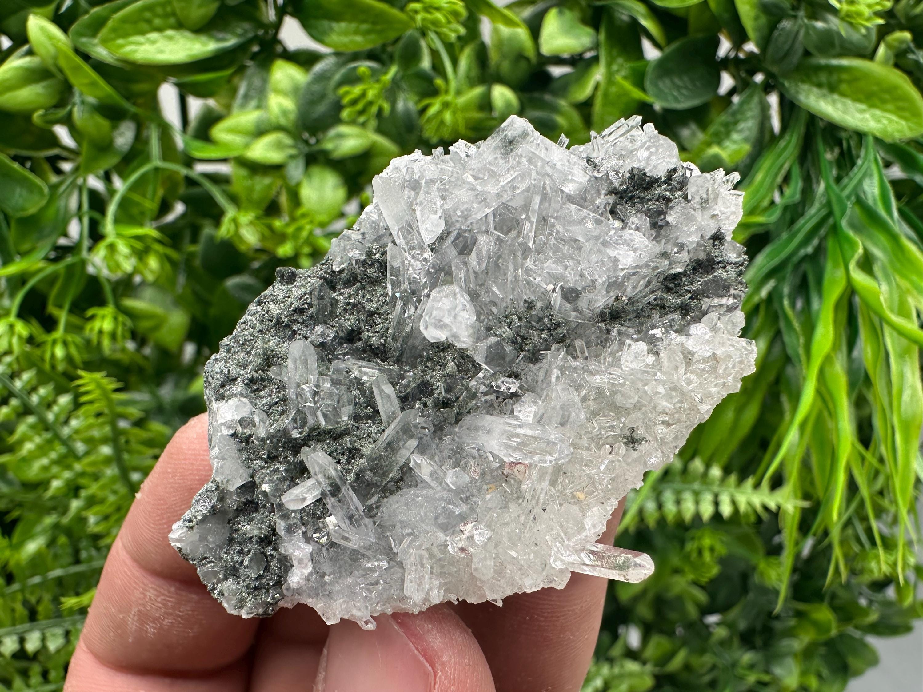 Transparent Quartz on Chlorite Matrix, Borieva Mine Mineral Specimen