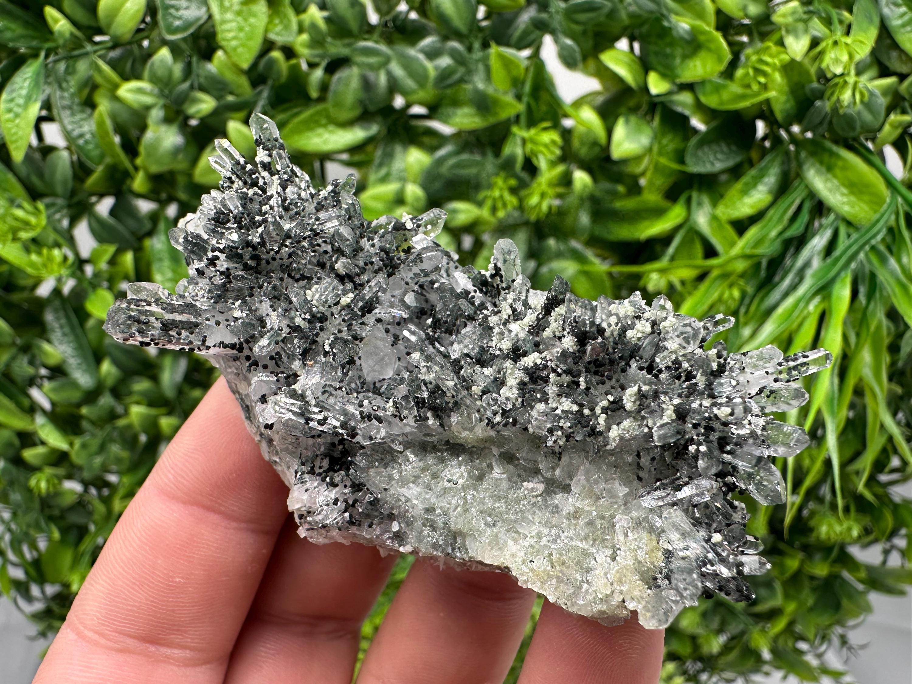 Chlorite Quartz Crystal Cluster - Borieva Mine, Bulgaria