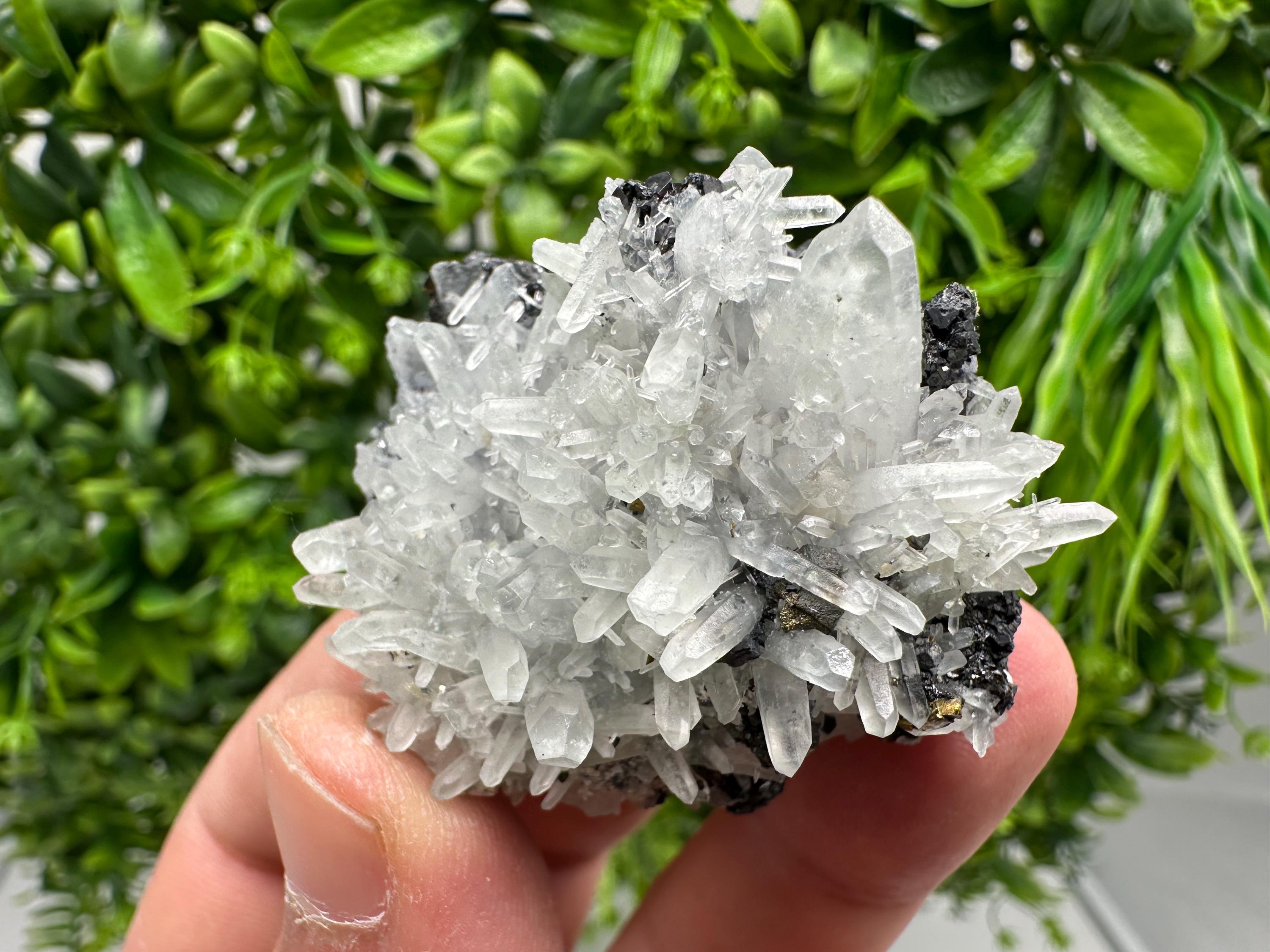 Wonderful Sphalerite Chalcopyrite on Green Quartz whit Hematite feom 9 th September mine,Bulgaria,natural,collection mineral specimen,gift