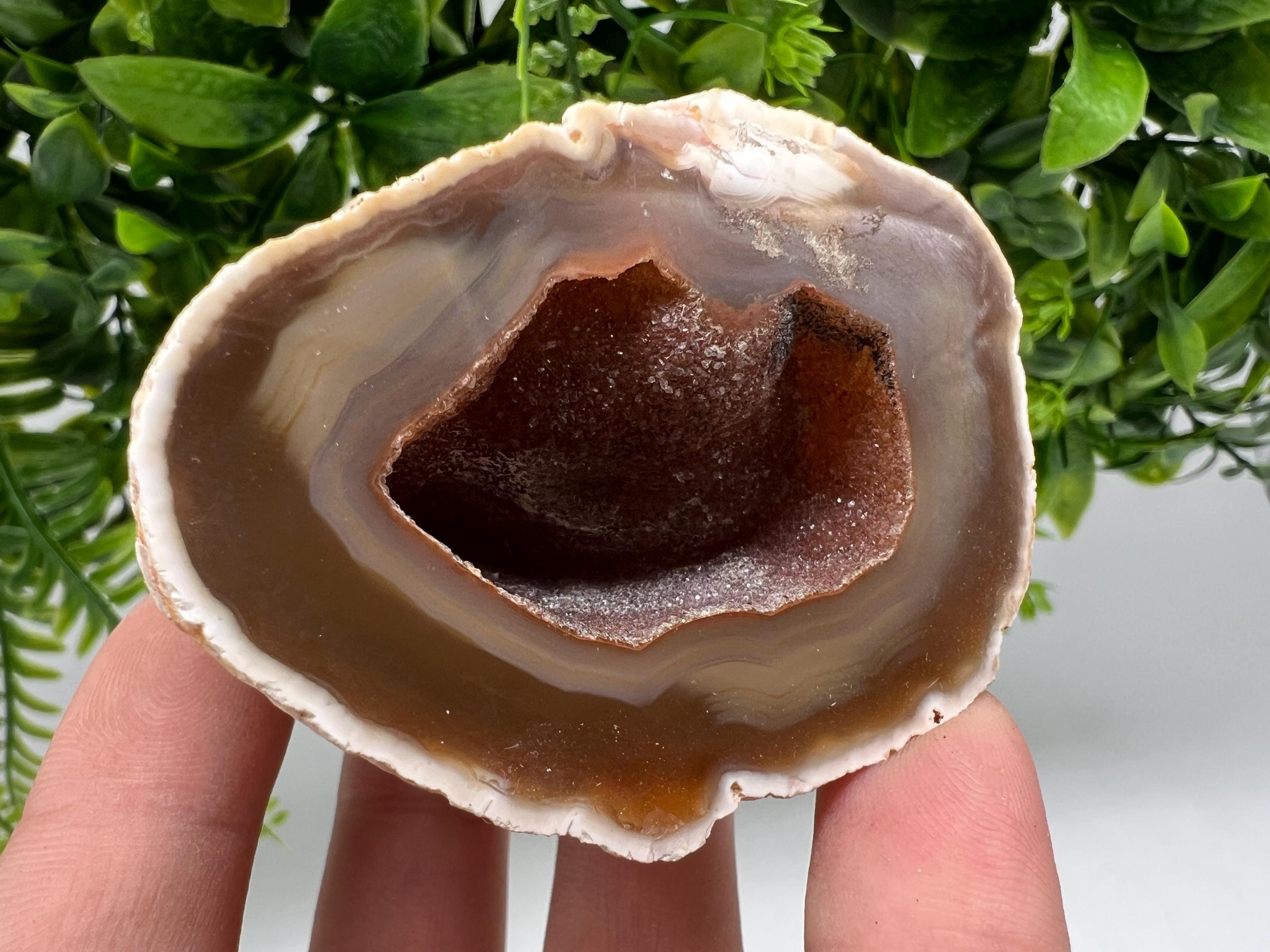 Natural Agate Druzy Geode, Brown and White Crystal, 141 grams