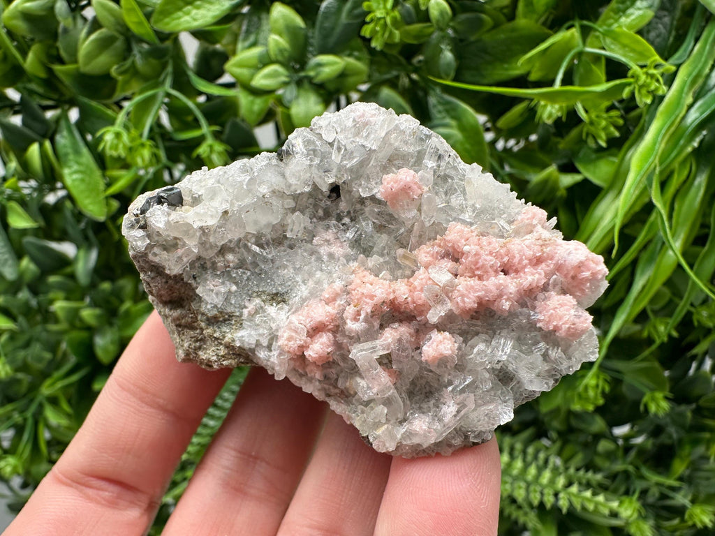Pink Rhodochrosite Crystal: Starnica Mine, Bulgaria, Home Decor