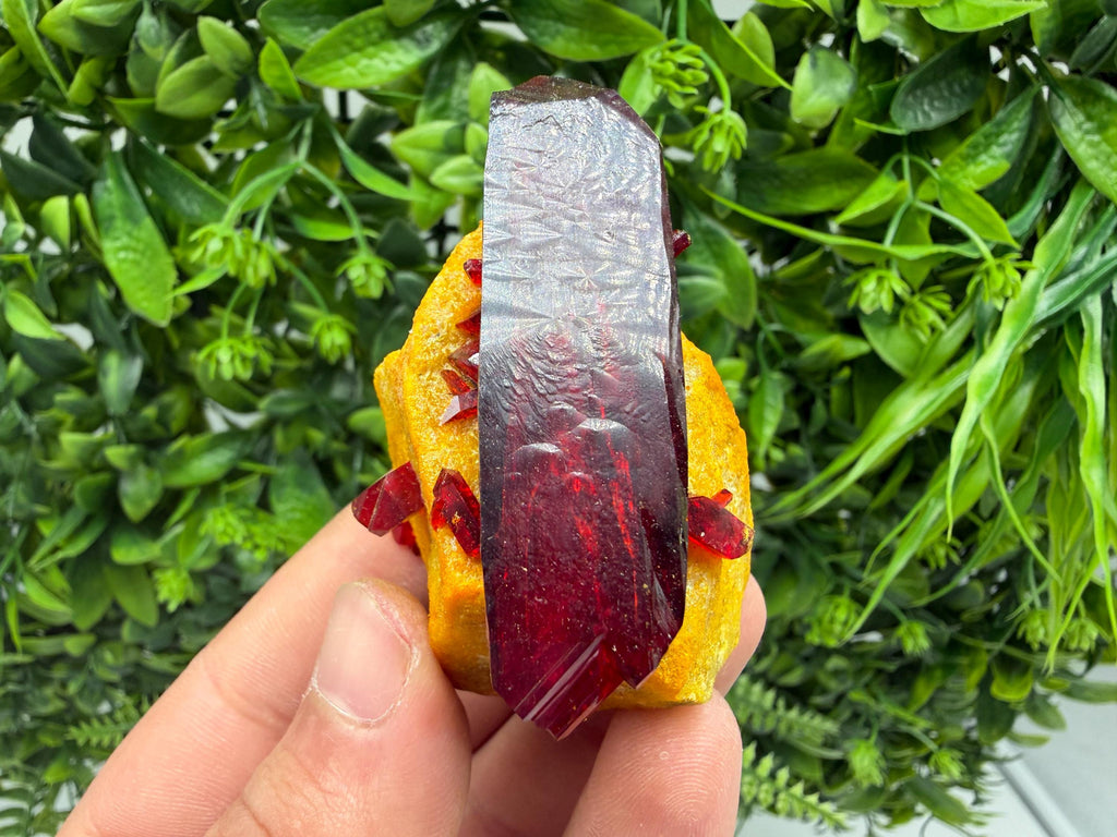 XXL Laboratory Pruskite Ruby Crystal on Matrix