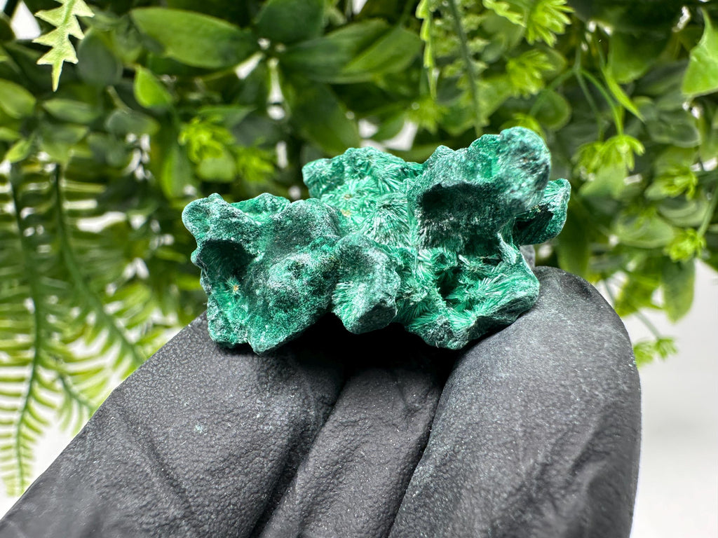 Malachite Crystal from Congo,Minerals,Crystals from Congo,Green Malachite, Malachite,Natural Malachite,Malachite Stone,Chakra, Specimens