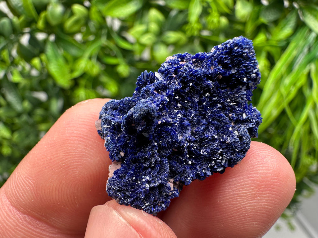 Crystallized Azurite-Kerrouchen,Morocco-Blue Azurite Specimen-High Quality Blue Azurite-Azurite Mineral Specimen, gemmy,lustrous of Azurite