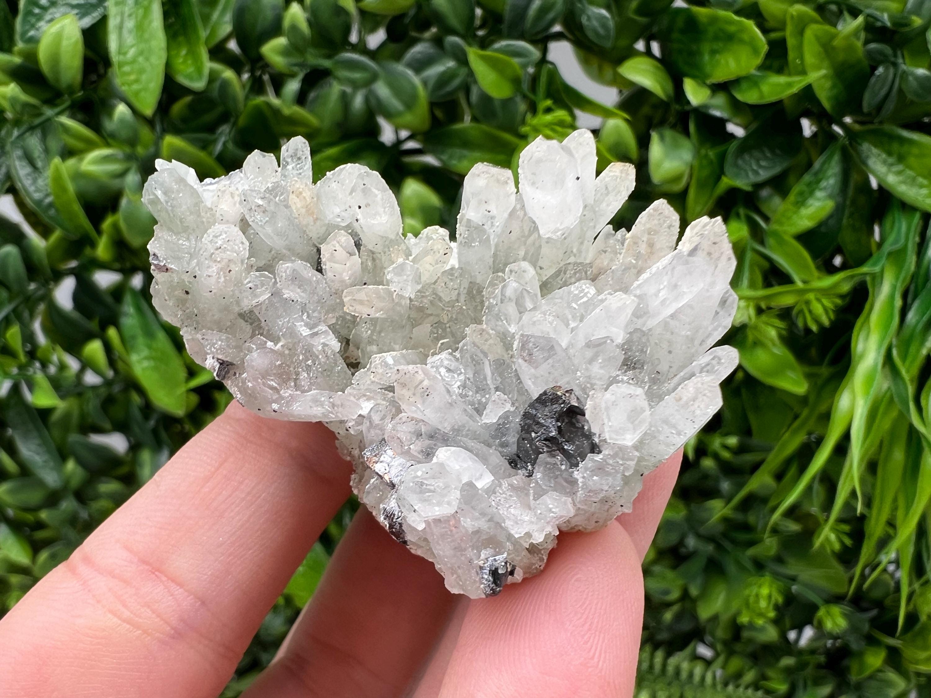 Wonderful Transparent Quartz on Chlorite Matrix,From Borieva mine,Madan,Bulgaria,Quartz,Quartz crystal,mineral specimen,collection quartz
