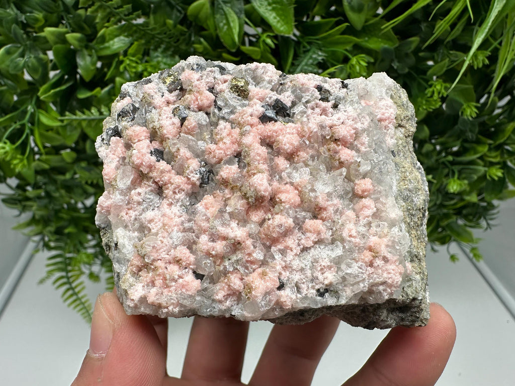 Pink Rhodochrosite Crystal, Starnica Mine, Bulgaria, Mineral Decor