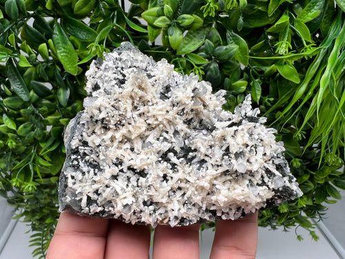 Calcite Quartz on Chlorite Matrix: Borieva Mine, Bulgaria