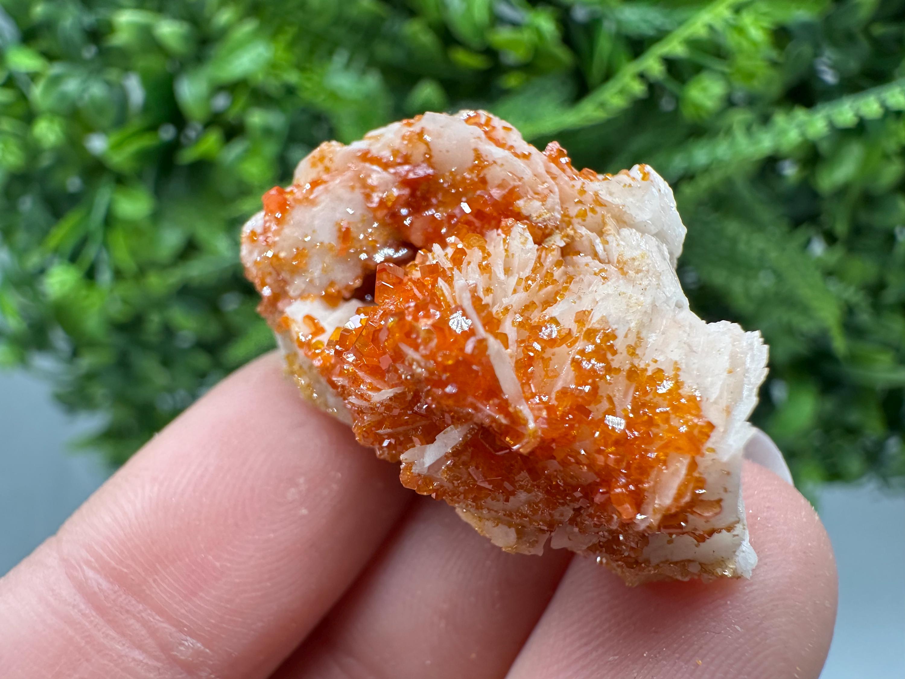 Red Vanadinite Crystals on Barite, Morocco Mineral Specimen