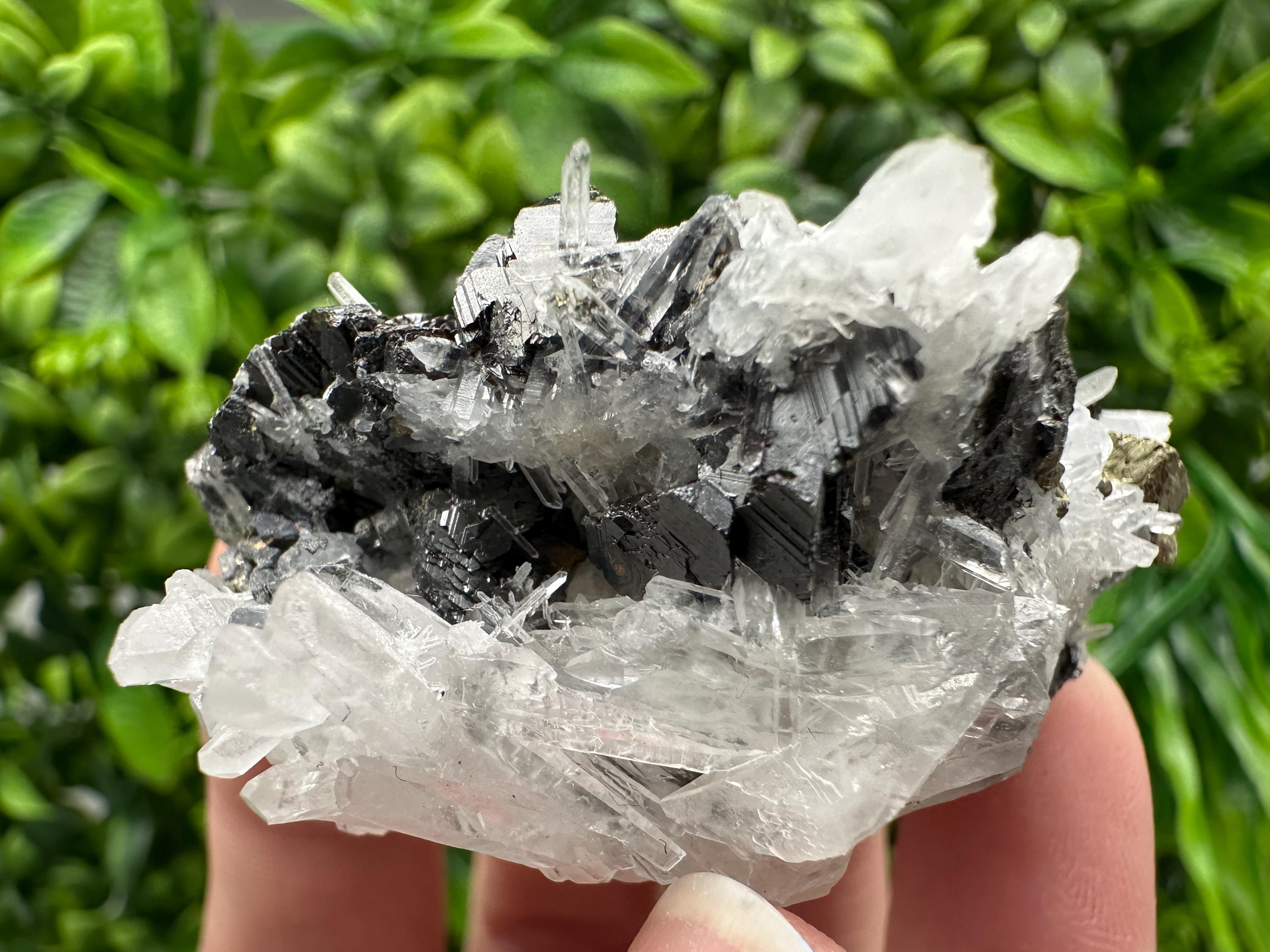 Wonderful Sphalerite Chalcopyrite on  Quartz whit Galena feom 9 th September mine,Bulgaria,natural,collection mineral specimen,gift