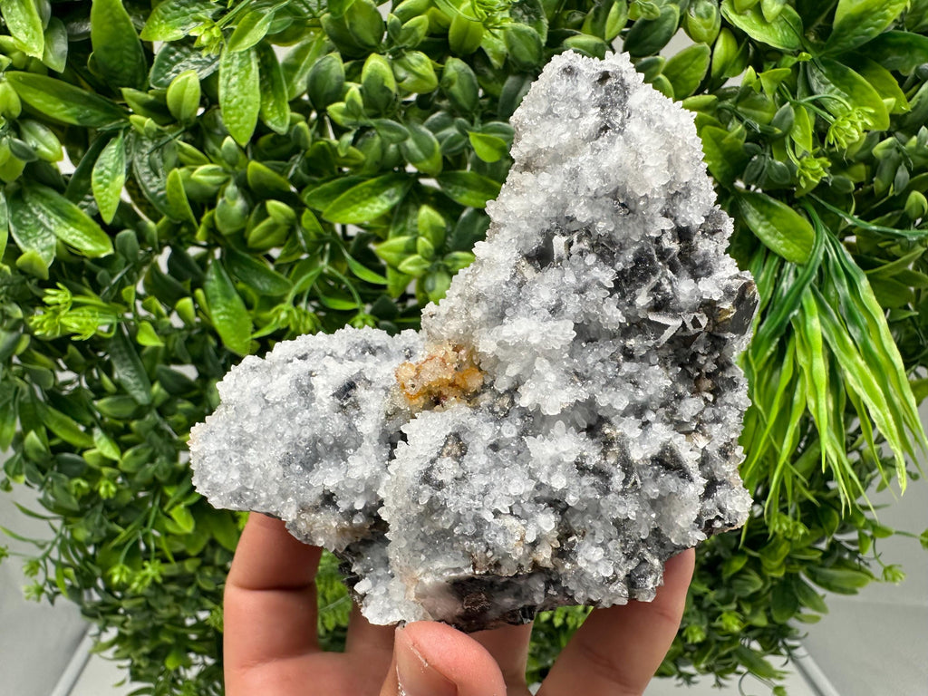 Chalcedony Micro Crystal Specimen: Krushev Dol Mineral Collection