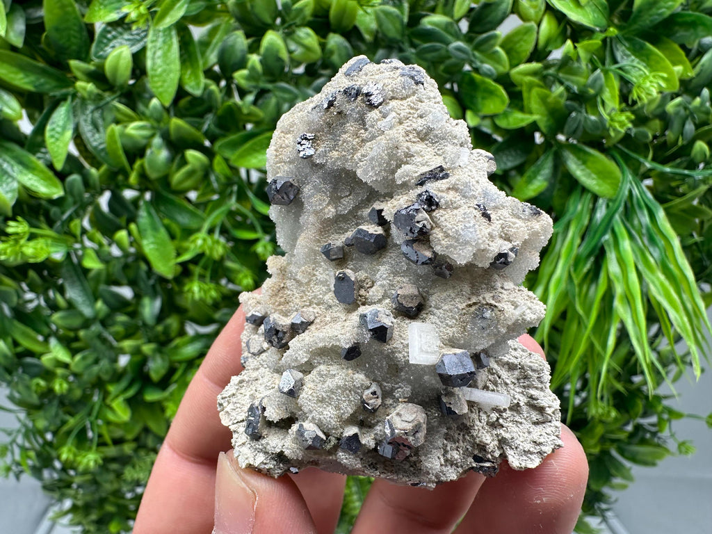 Galena on Chalcedony Mineral Specimen: Krushev dol Mine, Bulgaria