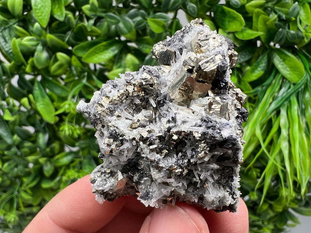 Pyrite on Green Quartz Mineral Specimen, Borieva Mine Bulgaria