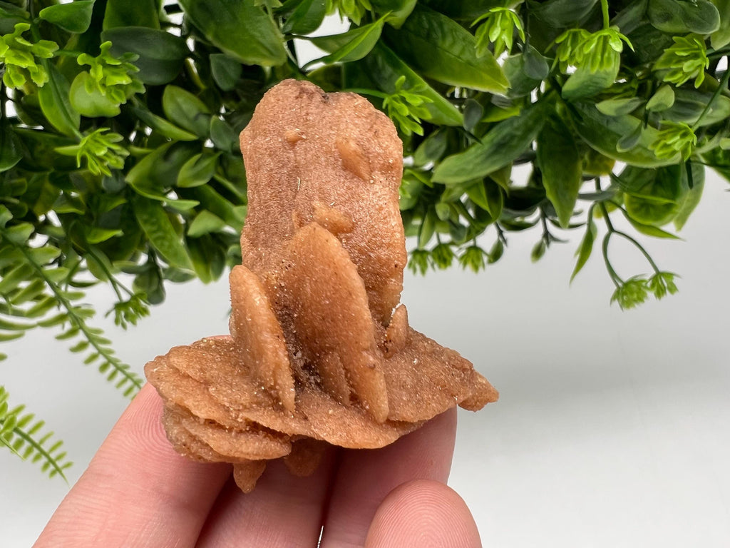 Desert Rose Crystal: Root Chakra Healing Selenite Stone