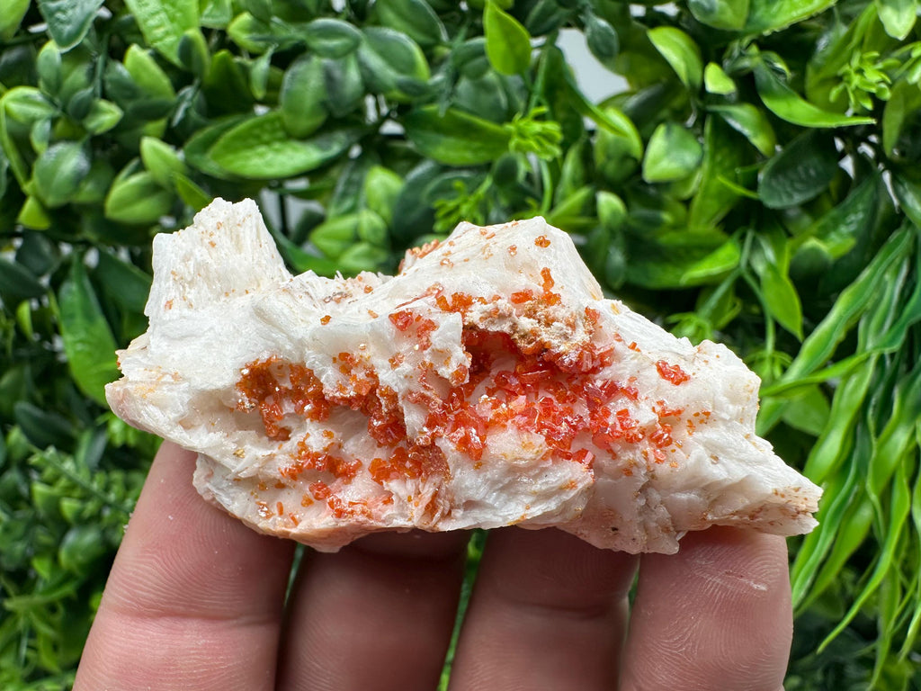 Red Vanadinite on Barite, Moroccan Crystal Mineral Specimen