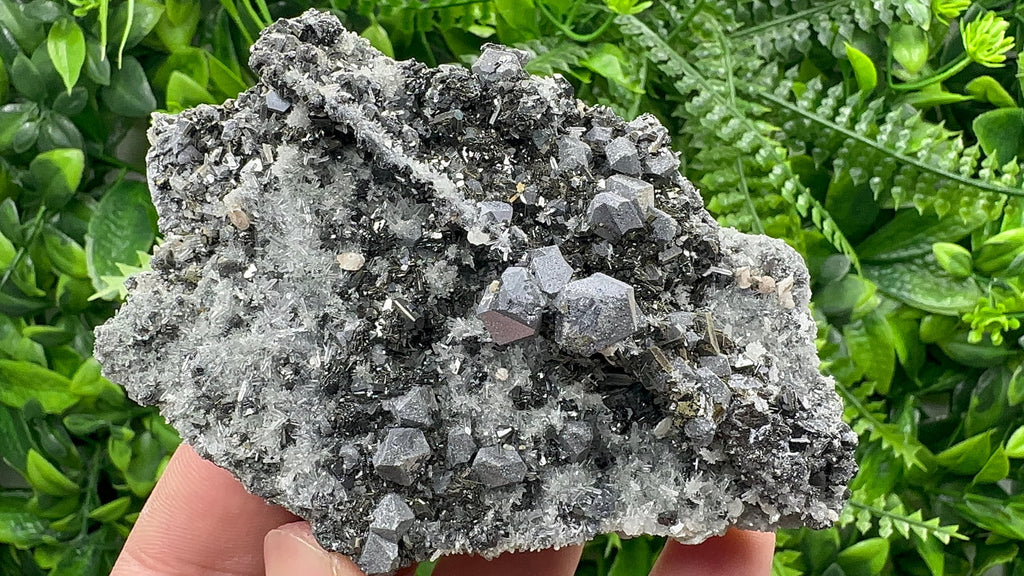 Galena with Sphalerite on Quartz, Borieva Mine, Bulgaria