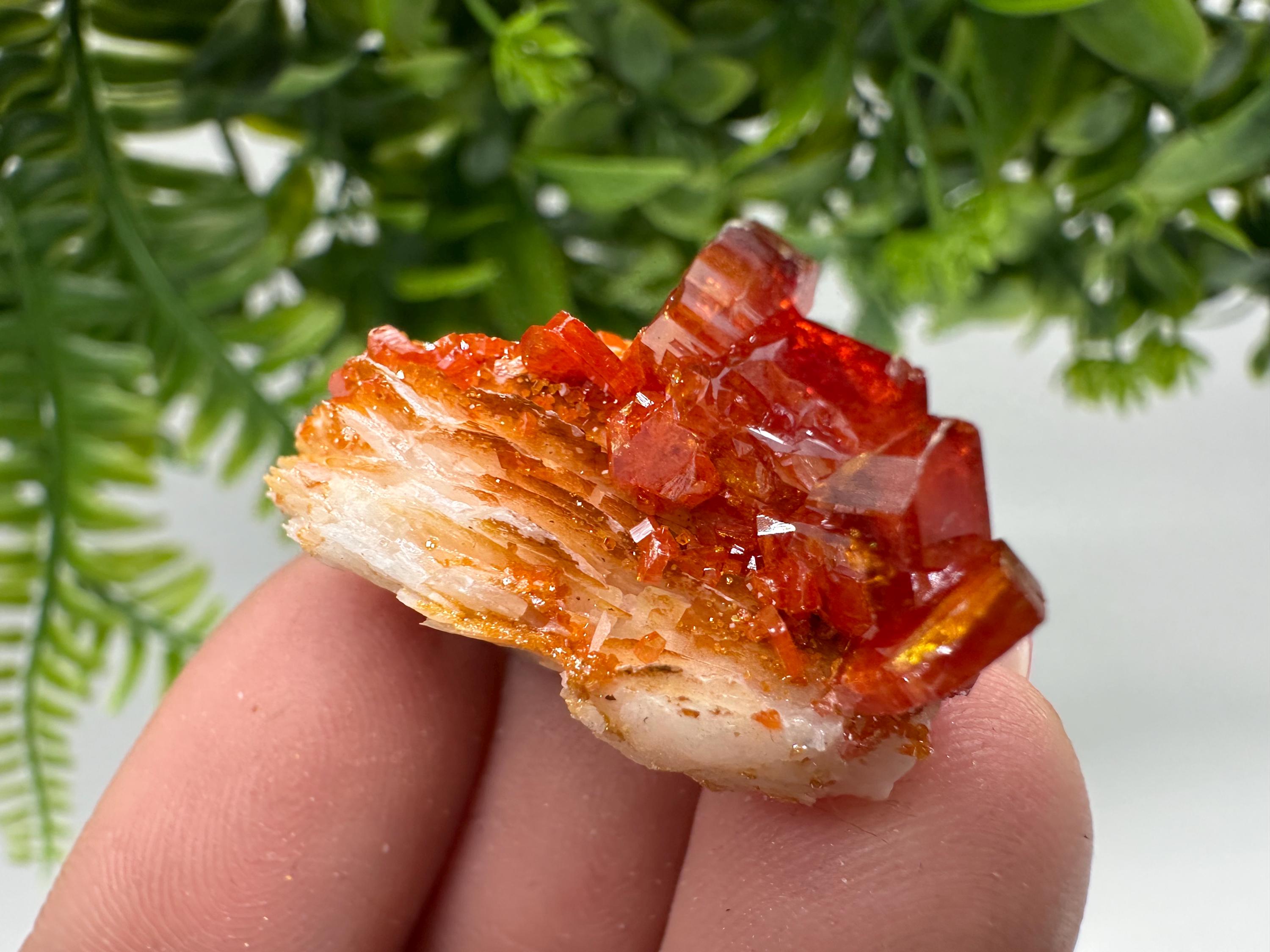Red Vanadinite Crystal Cluster on Barite, Morocco Mineral Specimen