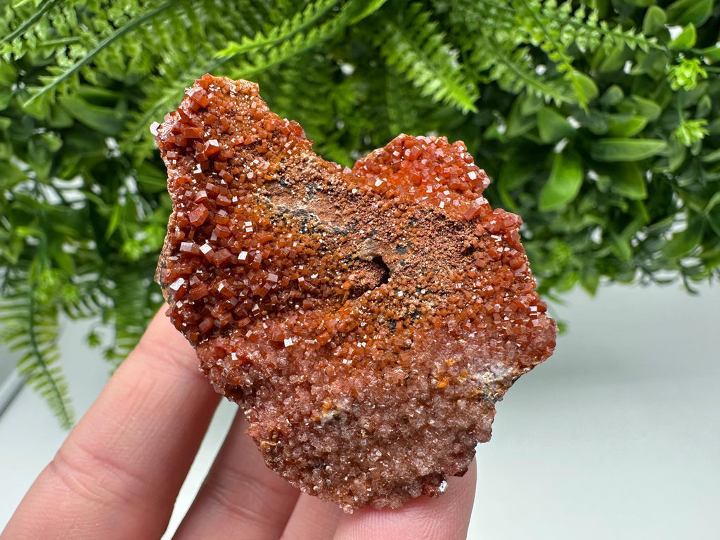 Red Vanadinite on Matrix from Marocco,crystal minerals Speciment cluster Vanadinite crystal Vanadinite Geology Vanadinite cluster minerals