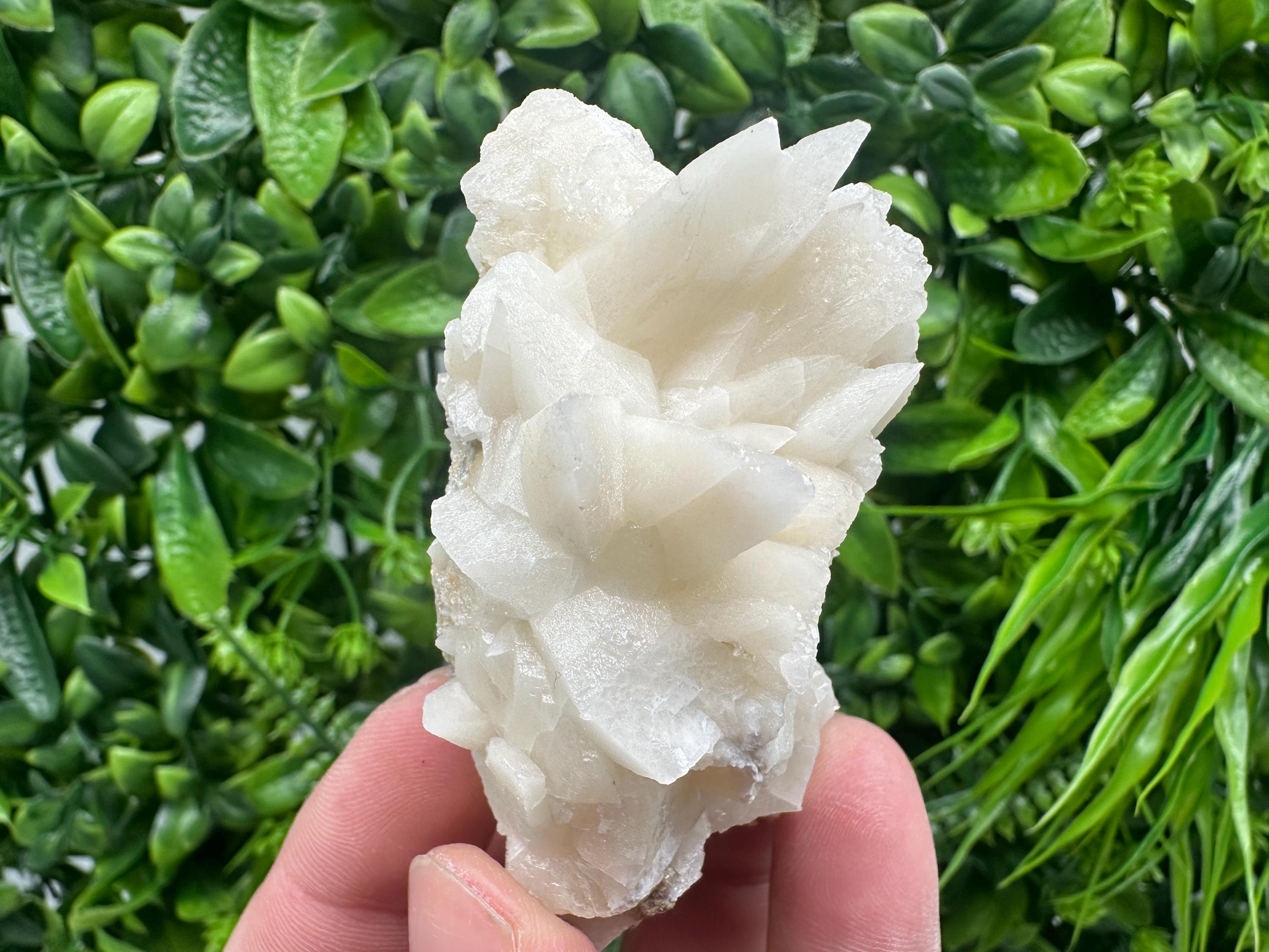 Calcite on Aragonite: Djurcovo Mine, Bulgaria Crystal