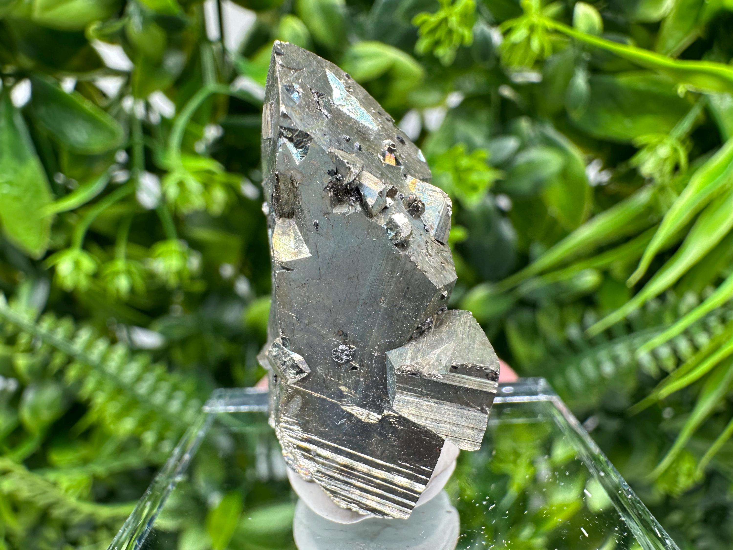 Rare Mini Pyrite Cluster: Borieva Mine, Bulgaria