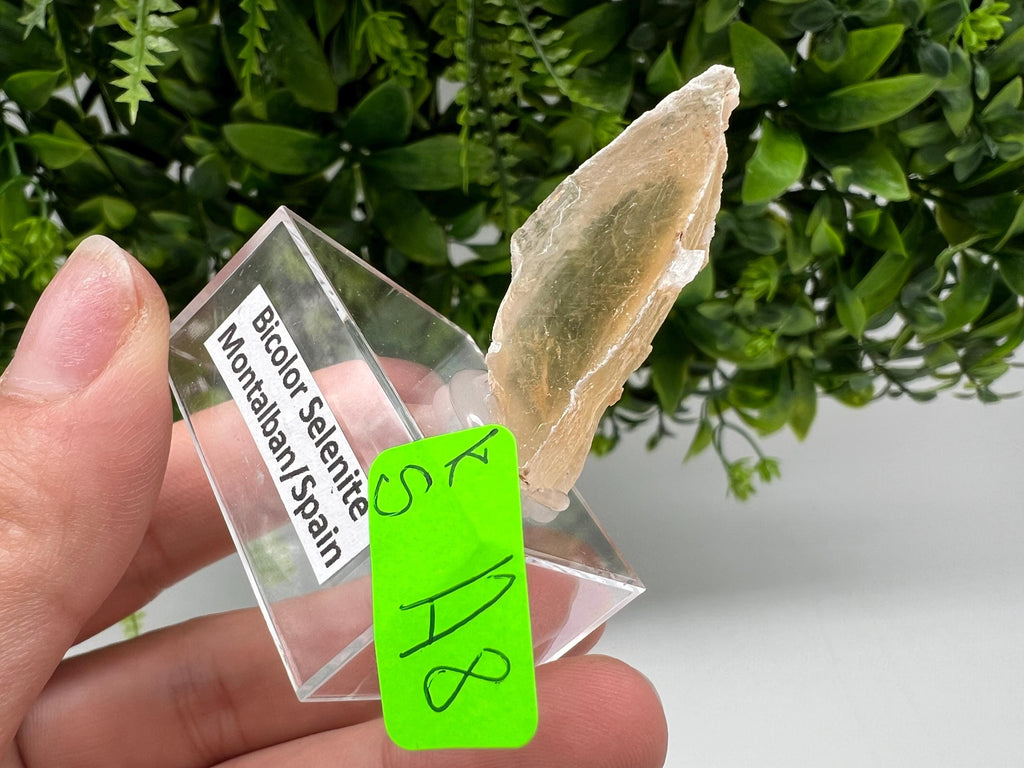 Golden Phantom Selenite Slab, Raw Utah Crystal (3/4cm)