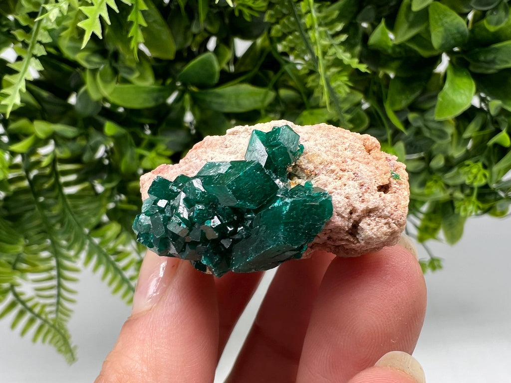 Stunning Green Dioptase from Sanda Hills,Mindouli,Pool Department,Mindouli District,Congo,green Dioptase,Dioptas Crystal,Dioptase collecting