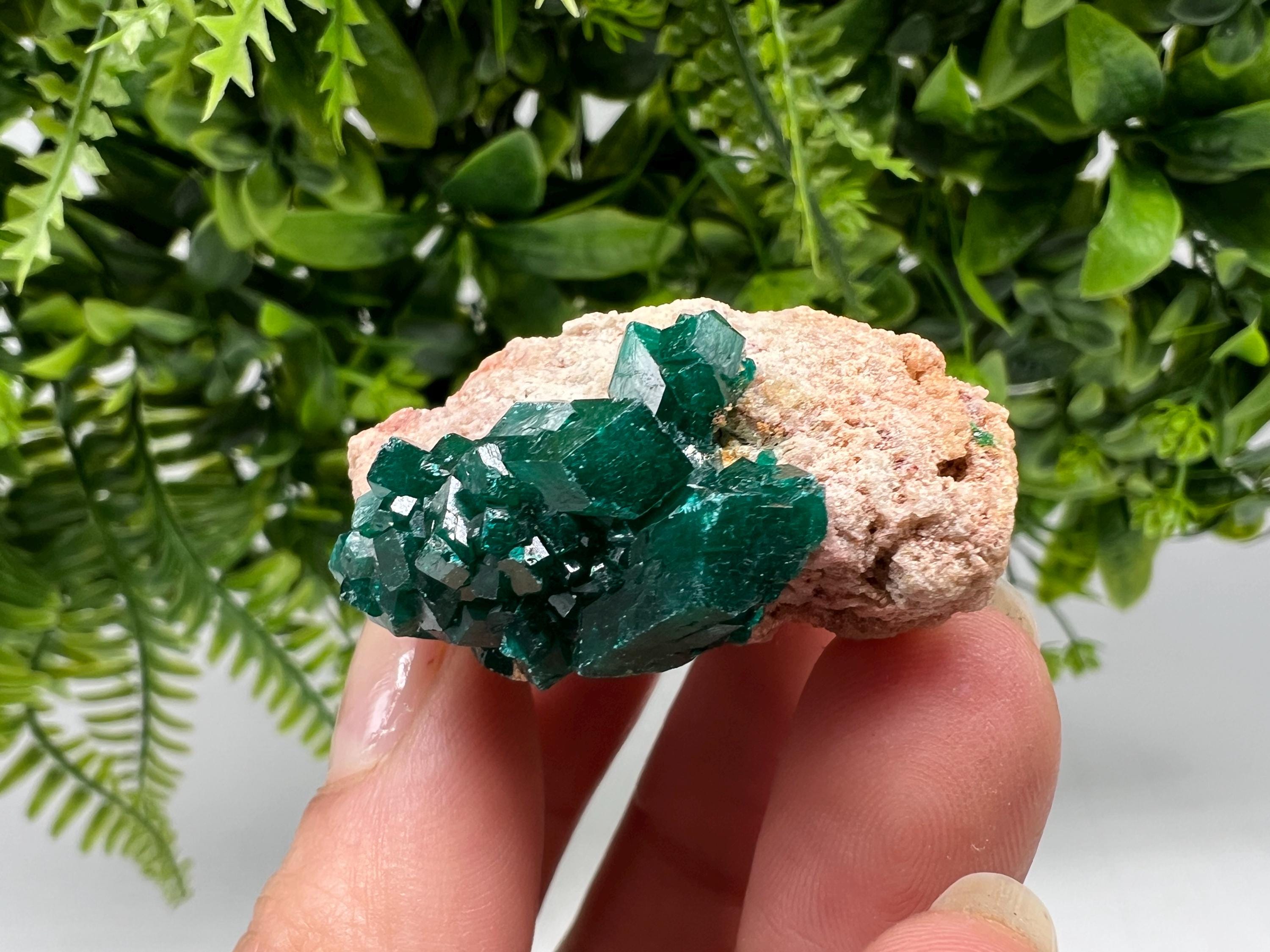 Stunning Green Dioptase from Sanda Hills,Mindouli,Pool Department,Mindouli District,Congo,green Dioptase,Dioptas Crystal,Dioptase collecting