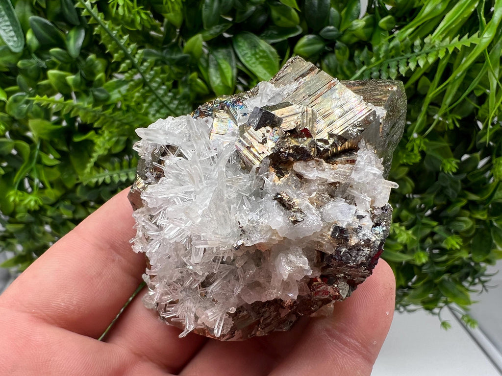 Rare Pyrite on Quartz Crystal: Borieva Mine, Bulgaria