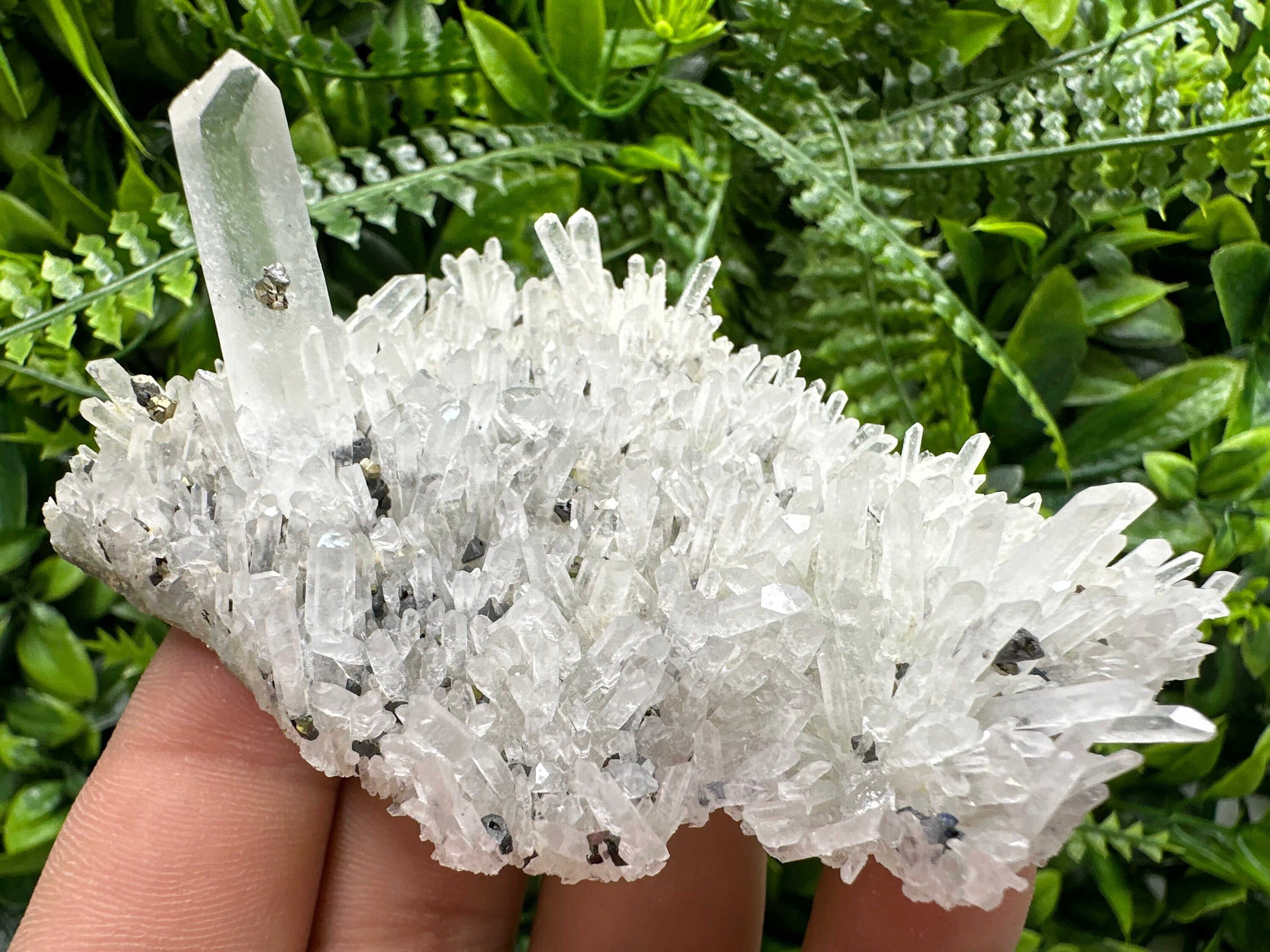 Quartz with Pyrite and Galena, Krushev Dol Mine, Bulgaria