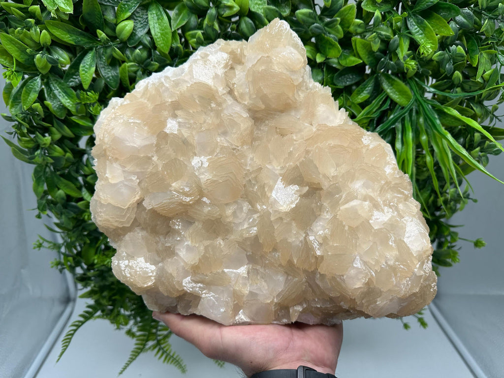Extra Large Pink Manganocalcite Specimen: Krushev Dol Mine, Bulgaria