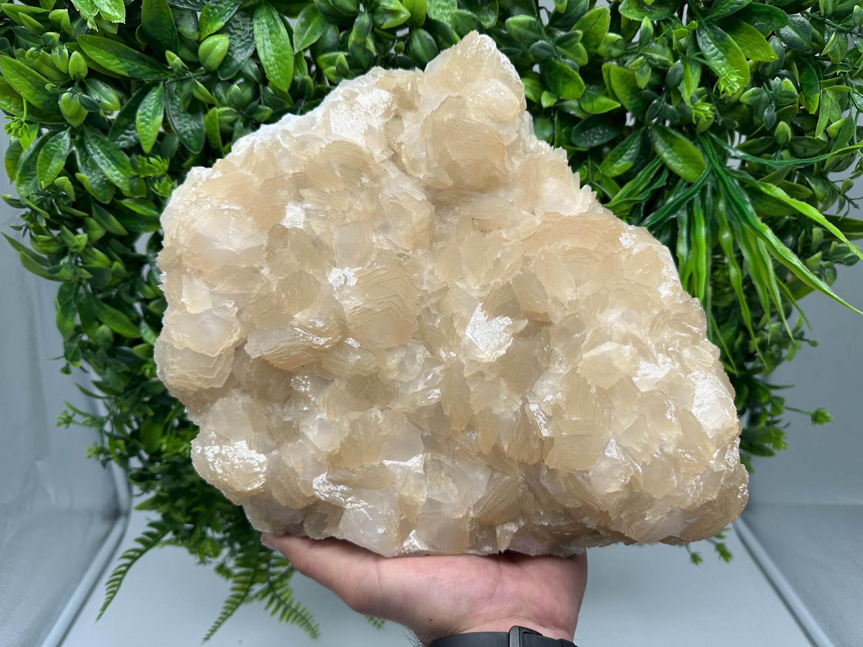 Extra Large Pink Manganocalcite Specimen: Krushev Dol Mine, Bulgaria
