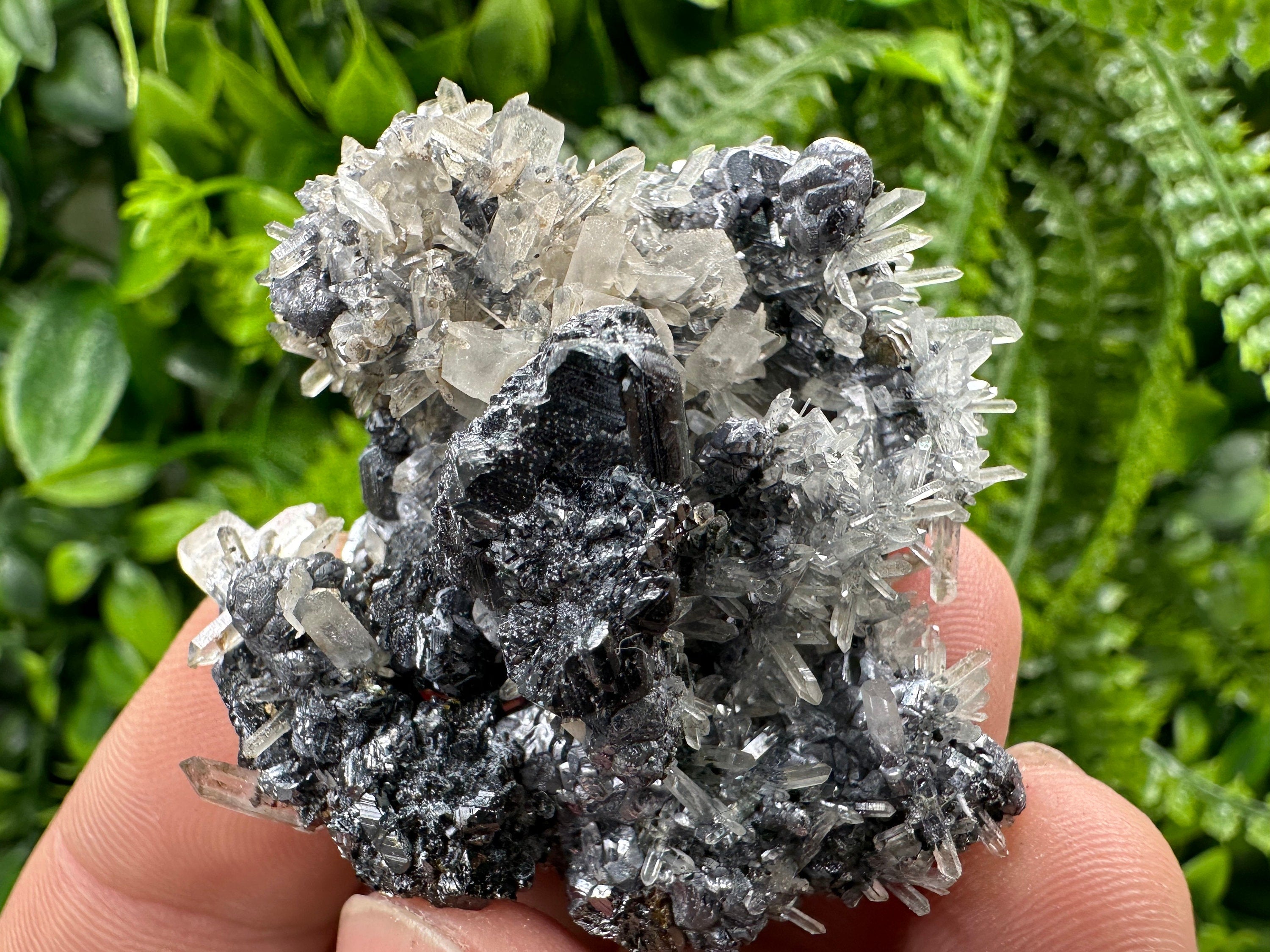 Sphalerite Quartz on Galena Mineral Specimen, Bulgaria