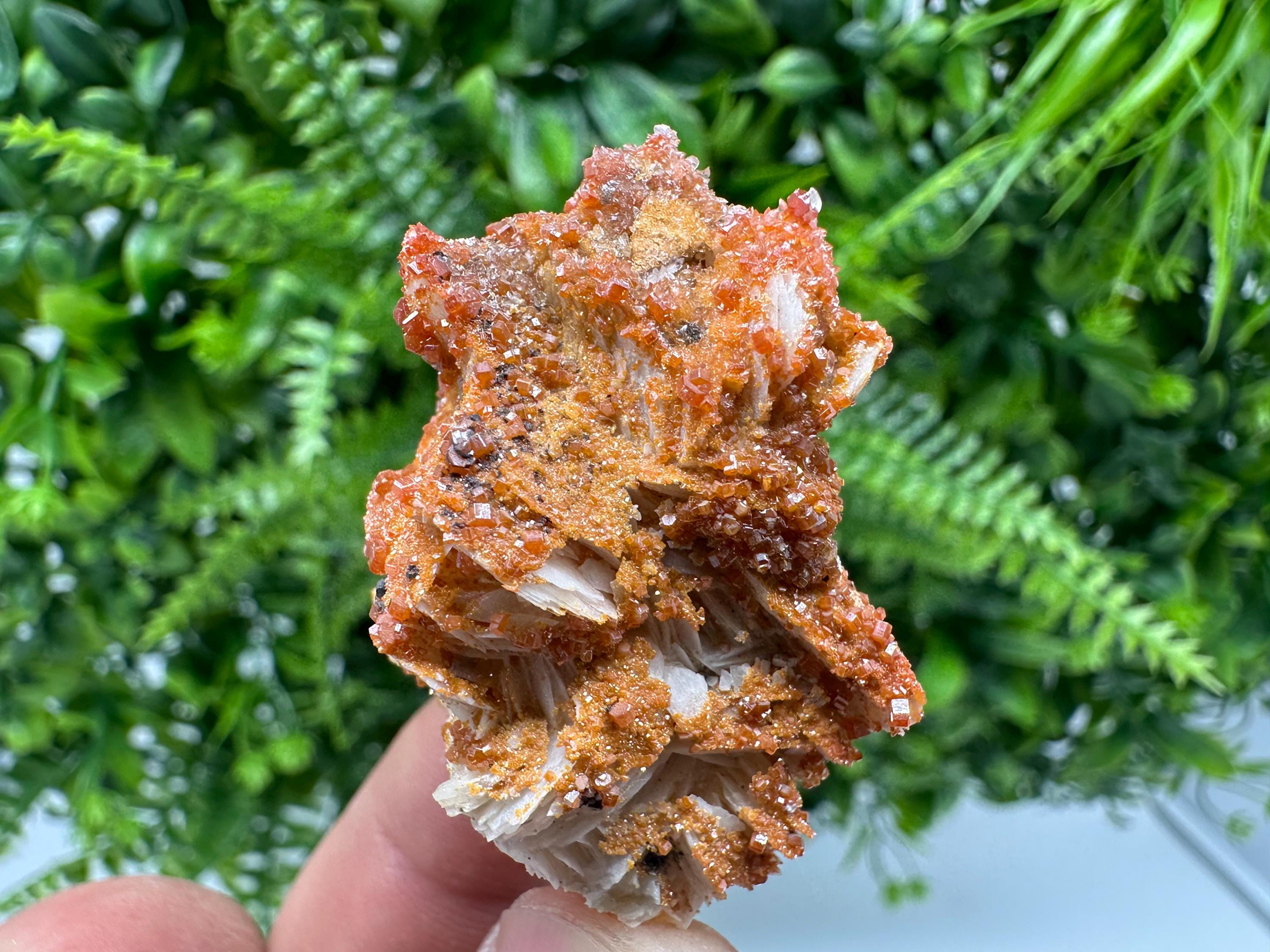 Red Vanadinite Crystal Cluster on Matrix, Morocco Mineral Specimen