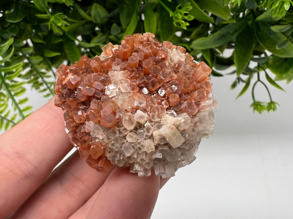 Extra Large Aragonite Sputnik Cluster: Moroccan Raw Crystal Stone
