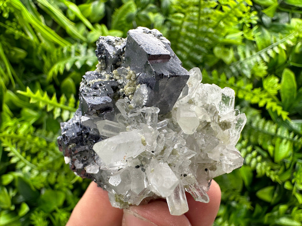 Galena on Quartz: Borieva Mine Crystal Souvenir