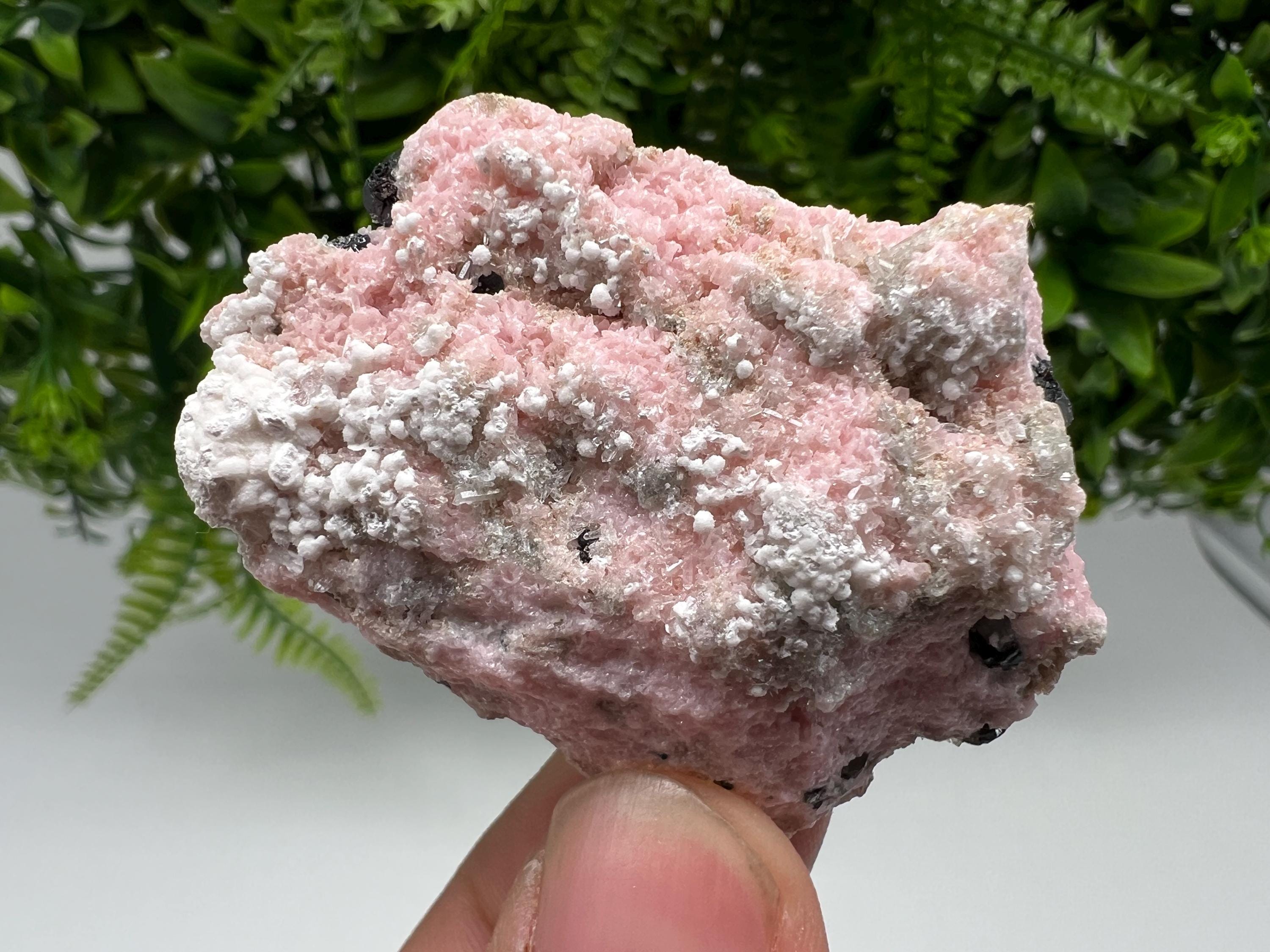 RARE Rhodochrosite with White Calcite, Starnica Mine, Bulgaria