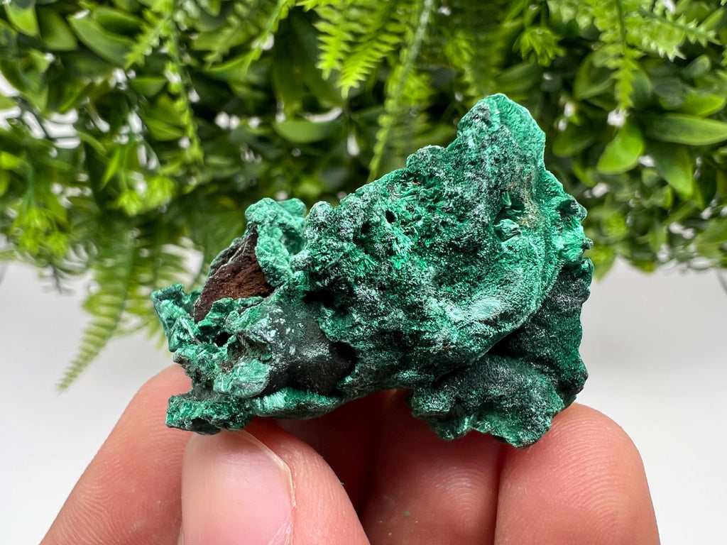 Malachite Crystal from Congo,Minerals,Crystals from Congo,Green Malachite, Malachite,Natural Malachite,Malachite Stone,Chakra, Specimens