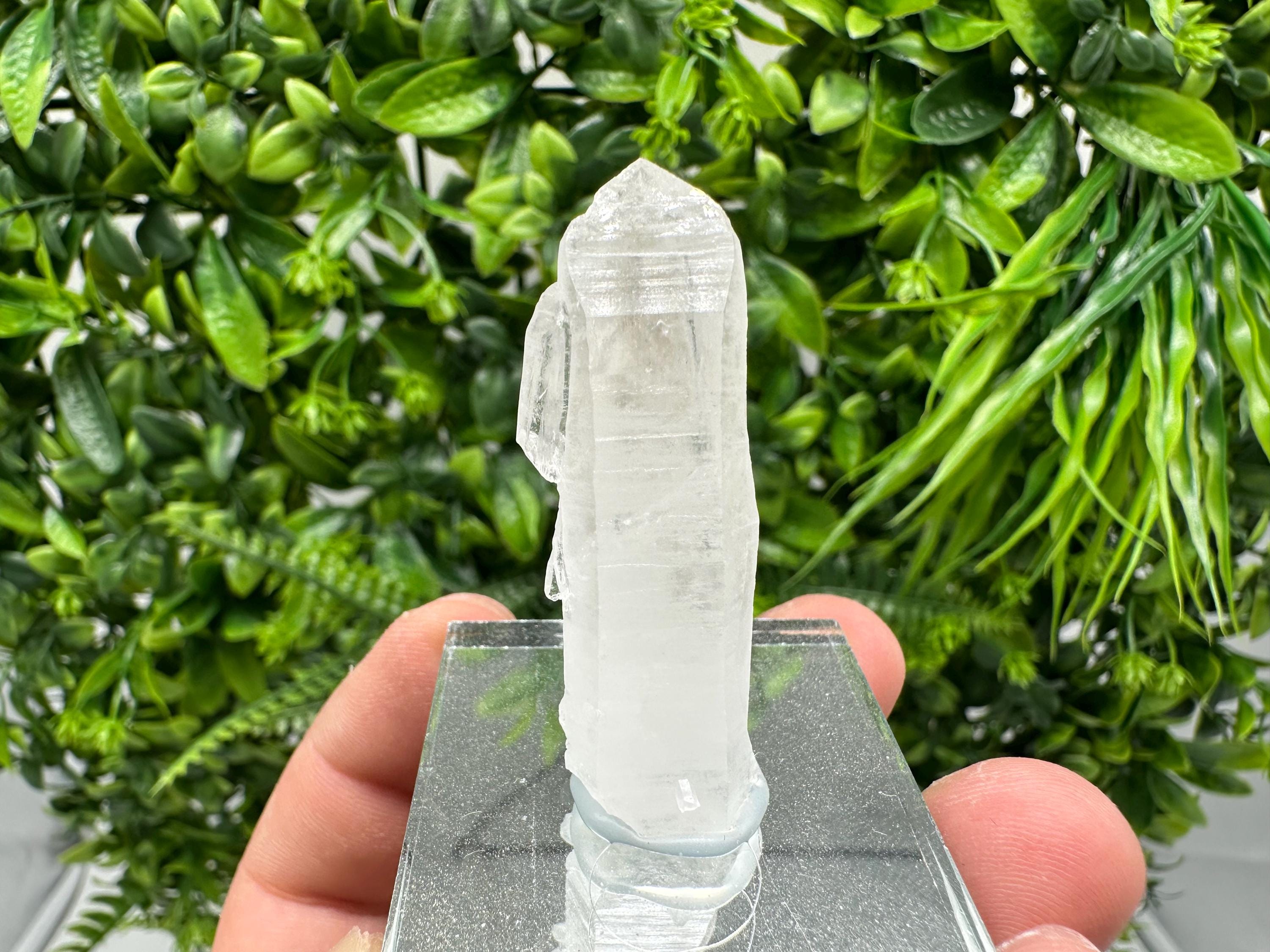 Stunning Transparent Quartz from Djurcovo mine,Laki,Bulgaria,natural,collection mineral specimen,rare crystal,home decor stone,gift minerals