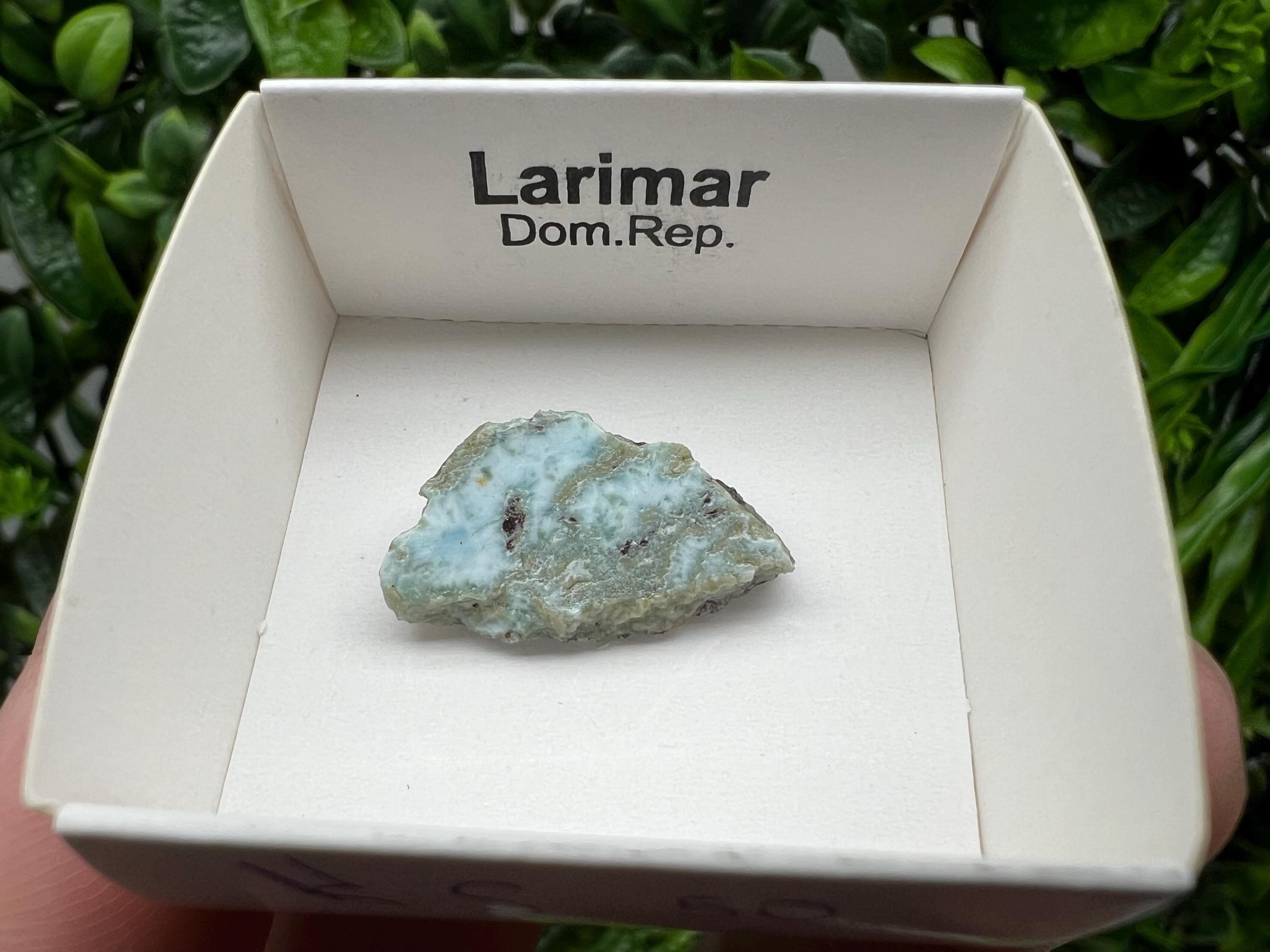 Rare Raw Larimar Specimen: Dominican Republic Crystal (25/15 mm)