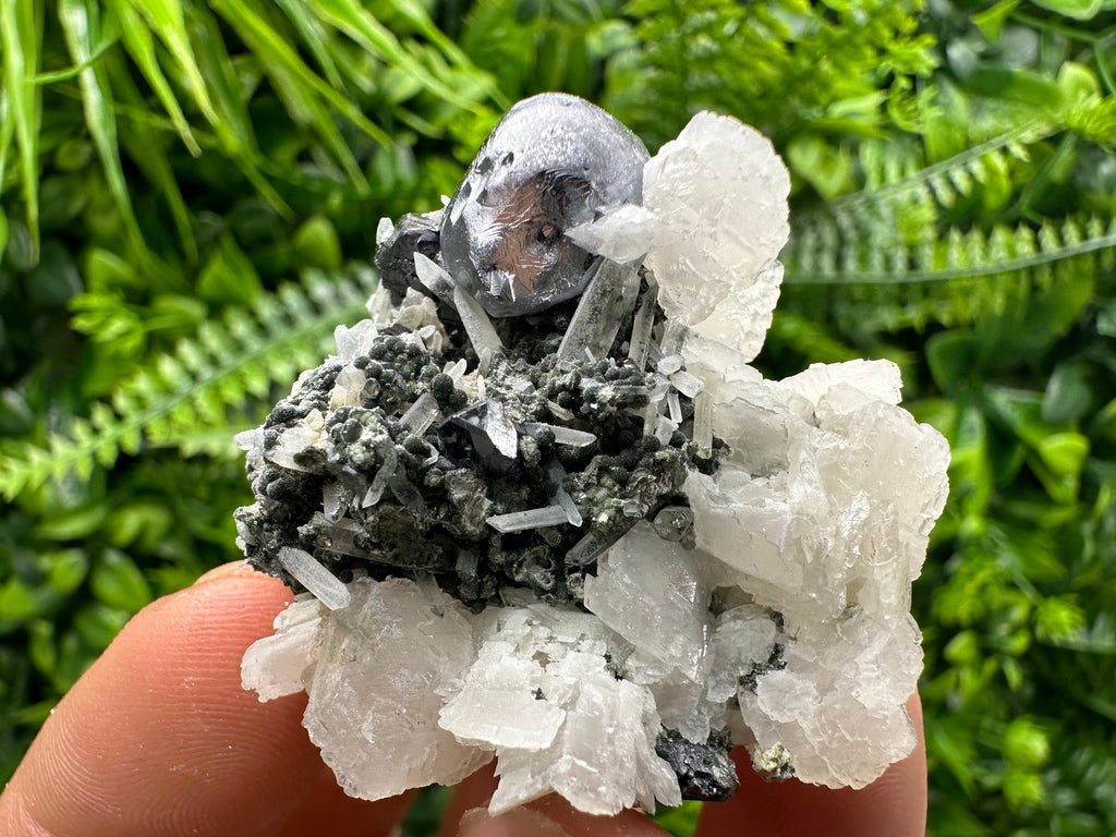 Mirror Galena, Calcite, Sphalerite on Quartz with Chlorite, Bulgaria