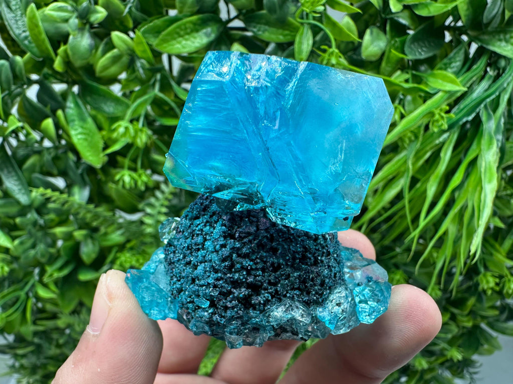 Exceptional Turquoise ALUNITE Aqua Crystal on Matrix UV Active, lab minerals