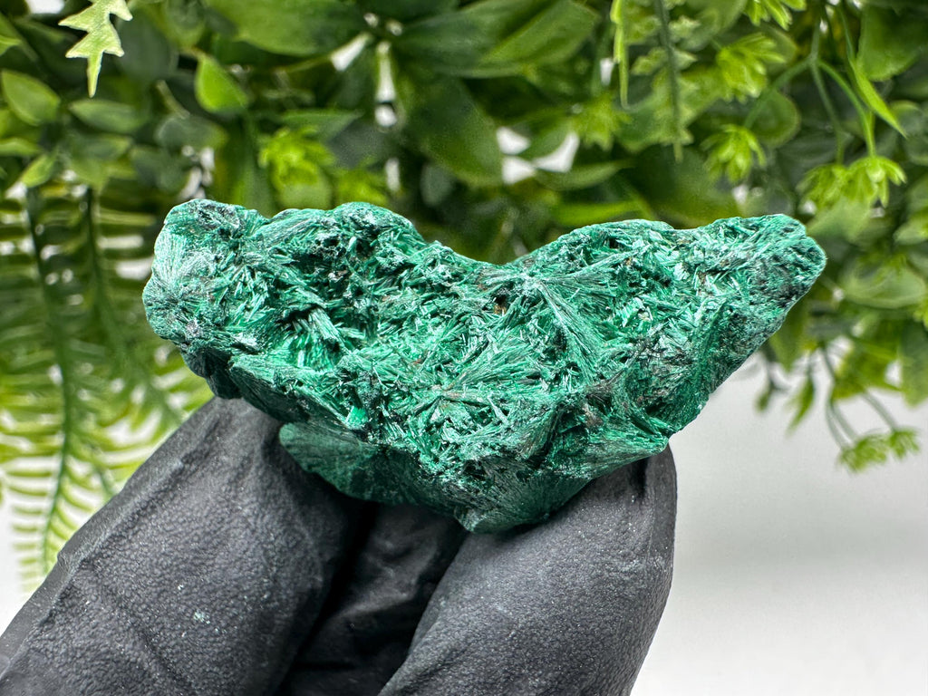 Malachite Crystal from Congo,Minerals,Crystals from Congo,Green Malachite, Malachite,Natural Malachite,Malachite Stone,Chakra, Specimens