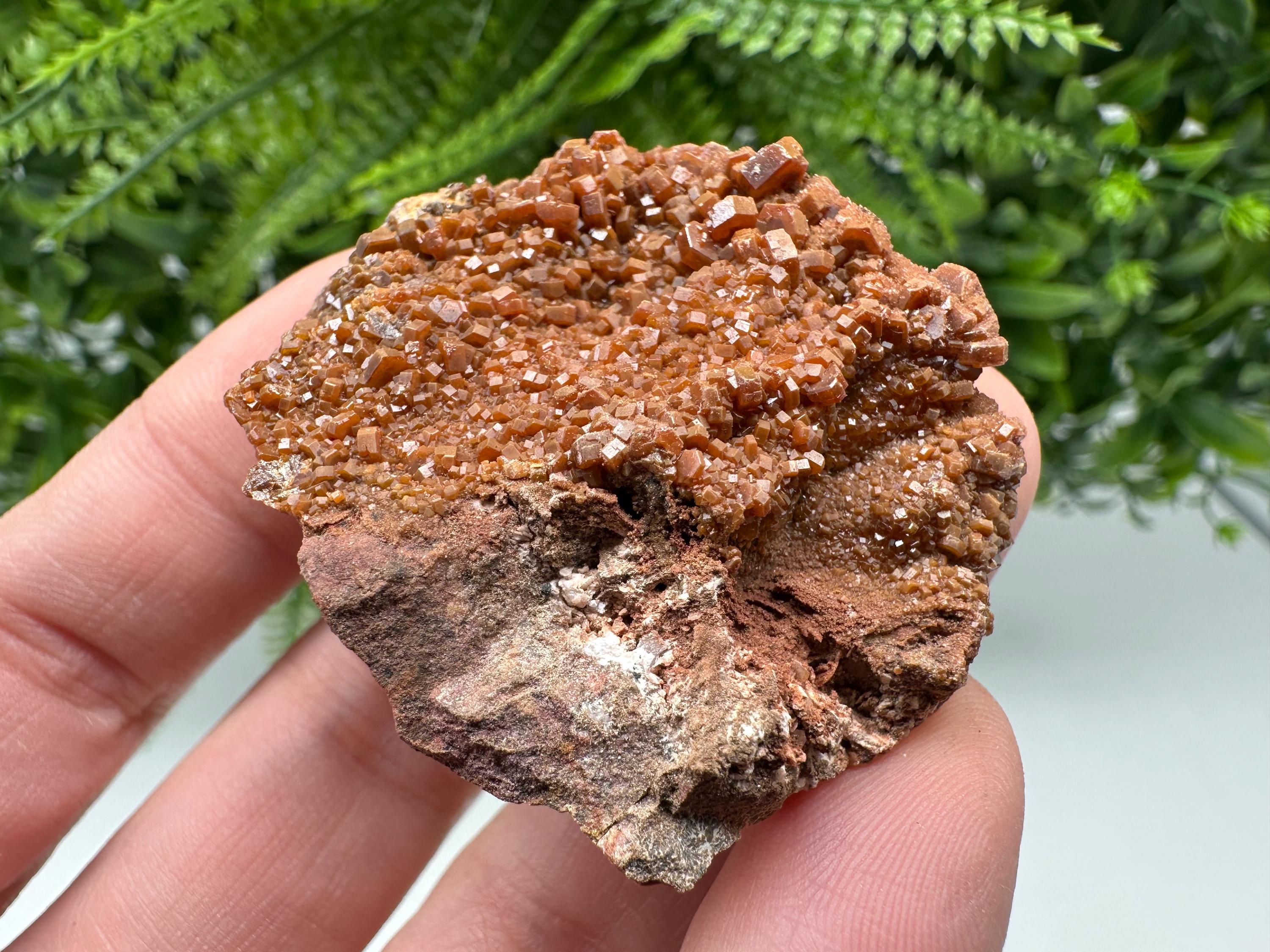 Red Vanadinite on Matrix from Marocco,crystal minerals Speciment cluster Vanadinite crystal Vanadinite Geology Vanadinite cluster minerals