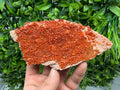 Red Vanadinite on Matrix from Marocco,crystal minerals Speciment cluster Vanadinite crystal Vanadinite Geology Vanadinite cluster minerals