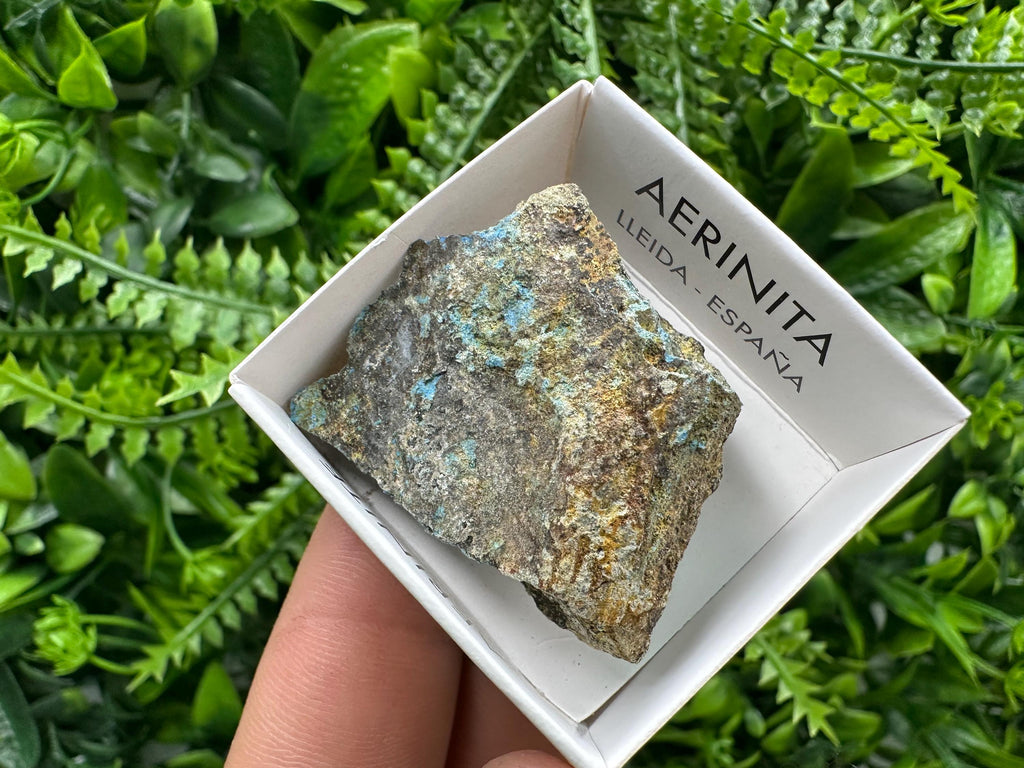 Rare Raw Aerinite Mineral Specimen, Lleida Spain Crystal