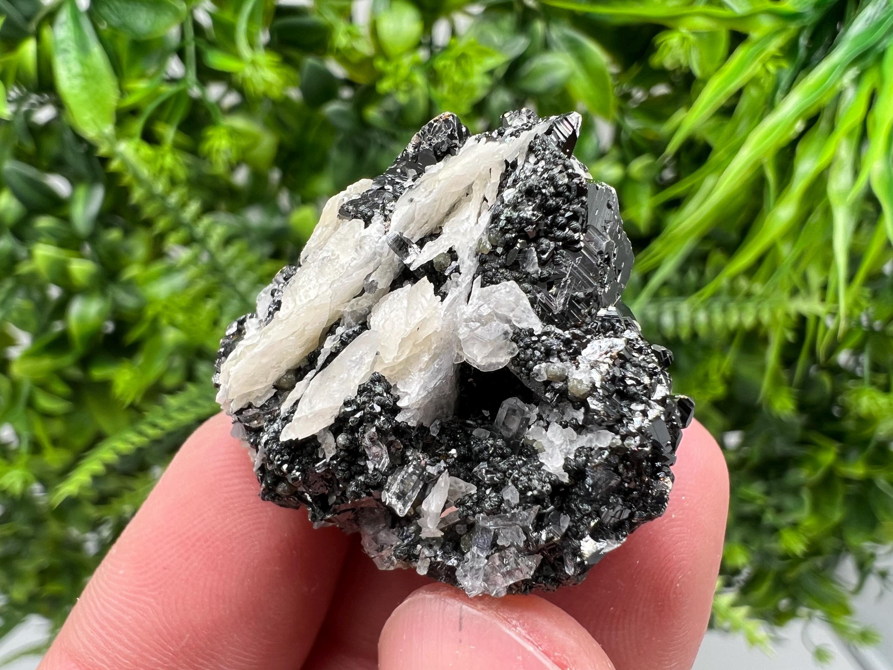 Aesthetic bigger Sphalerite whit Chlorite from Borieva mine Madan Bulgaria natural minerals souvenir crystal gift home decor stone rock