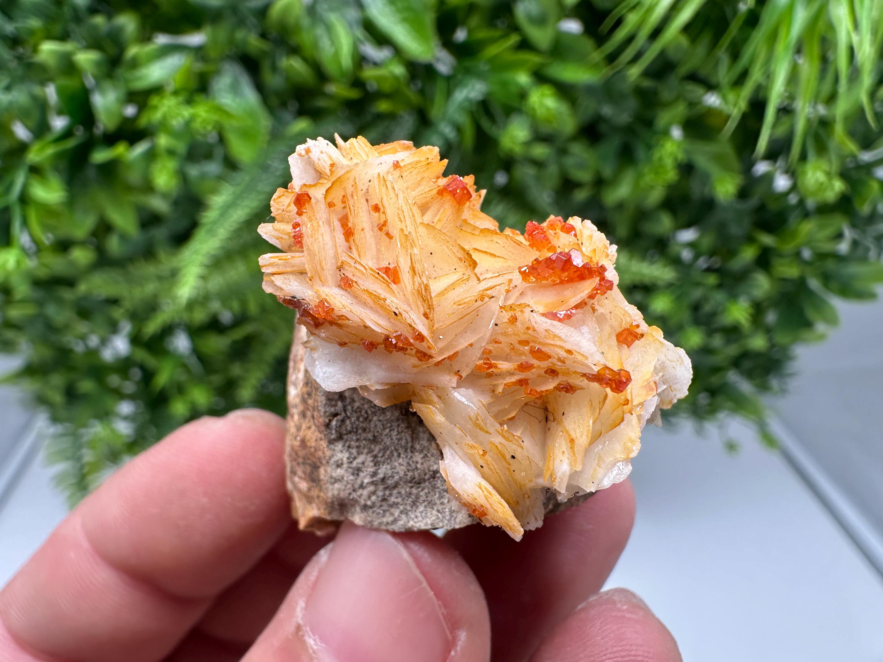 Red Vanadinite on Barite from Marocco,crystal minerals Speciment cluster Vanadinite crystal Vanadinite Geology Vanadinite cluster minerals