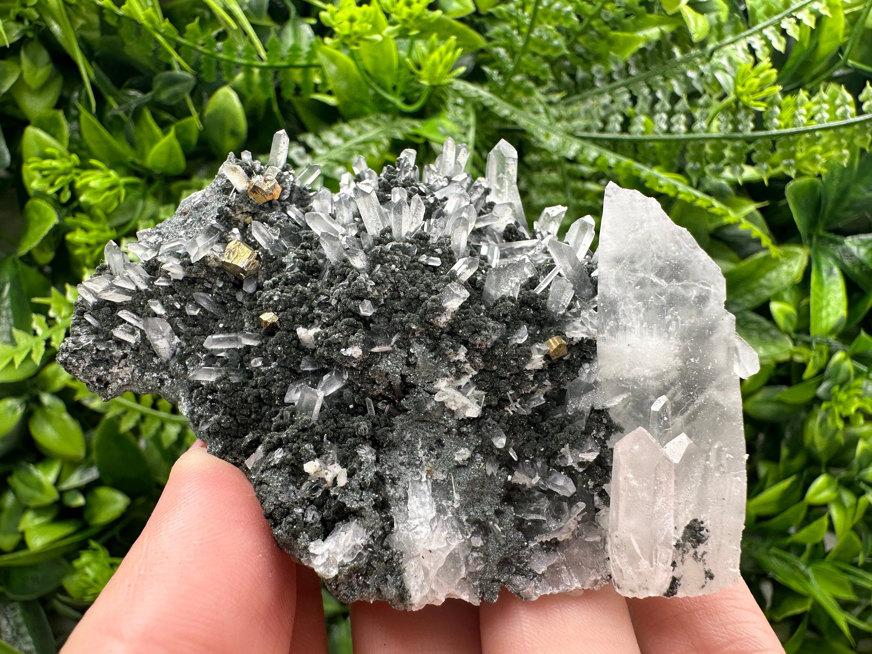 Quartz Calcite Chlorite Crystal: Borieva Mine, Bulgaria