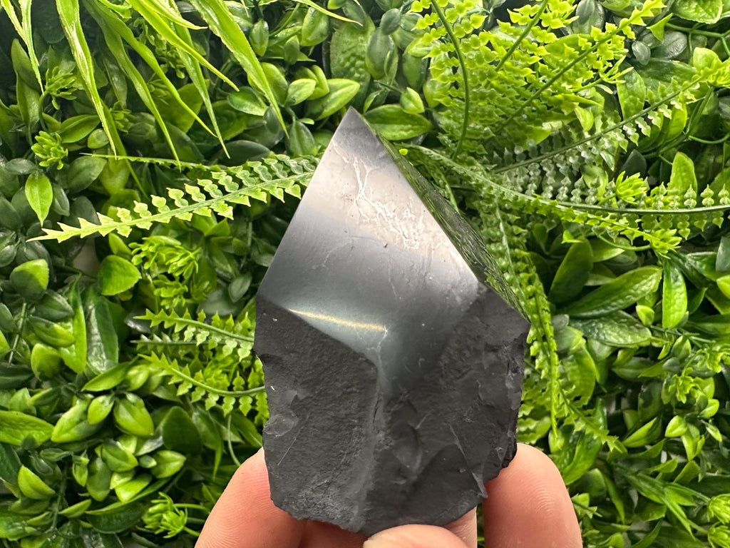 Polished Shungite Crystal: EMF Protection Stone (5cm)